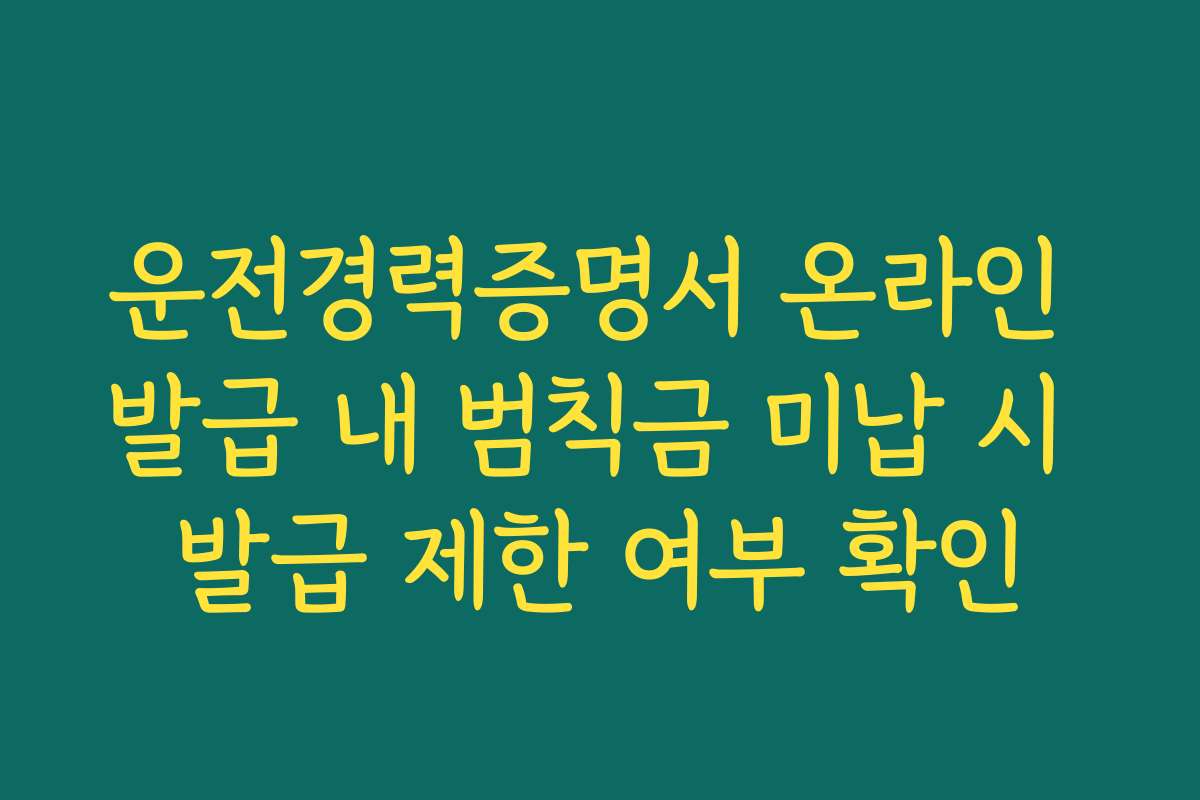 운전경력증명서 온라인 발급 내 범칙금 미납 시 발급 제한 여부 확인 운전경력증명서 온라인 발급 내 범칙금 미납 시 발급 제한 여부 확인