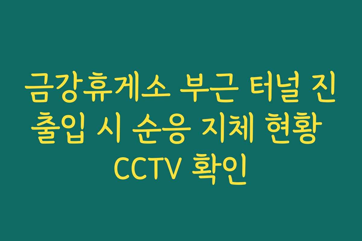 금강휴게소 부근 터널 진출입 시 순응 지체 현황 CCTV 확인