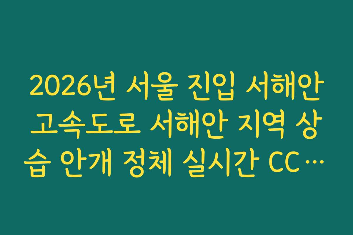 2026년 서울 진입 서해안고속도로 서해안 지역 상습 안개 정체 실시간 CCTV 확인 2026년 서울 진입 서해안고속도로 서해안 지역 상습 안개 정체 실시간 CCTV 확인