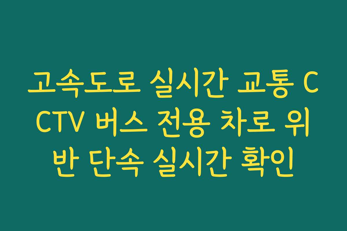고속도로 실시간 교통 CCTV 버스 전용 차로 위반 단속 실시간 확인 고속도로 실시간 교통 CCTV 버스 전용 차로 위반 단속 실시간 확인