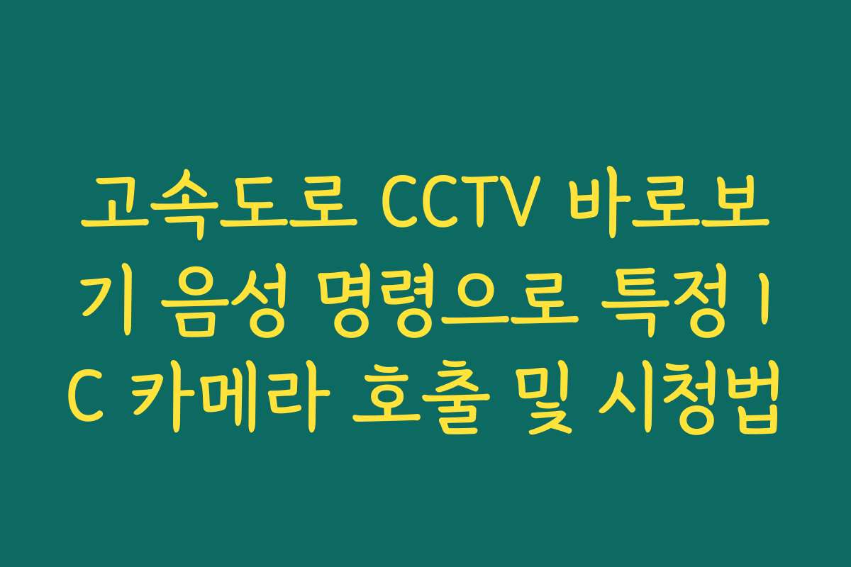고속도로 CCTV 바로보기 음성 명령으로 특정 IC 카메라 호출 및 시청법