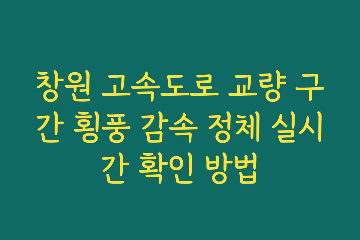 창원 고속도로 교량 구간 횡풍 감속 정체 실시간 확인 방법