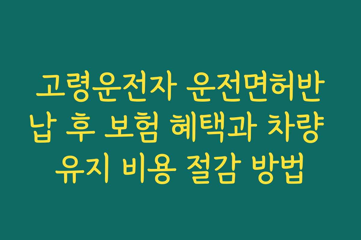 고령운전자 운전면허반납 후 보험 혜택과 차량 유지 비용 절감 방법