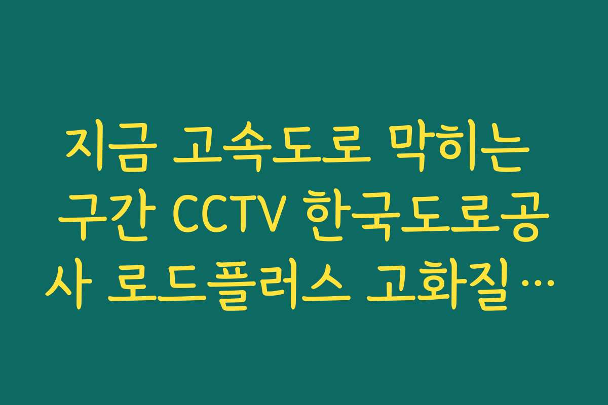 지금 고속도로 막히는 구간 CCTV 한국도로공사 로드플러스 고화질 시청법 지금 고속도로 막히는 구간 CCTV 한국도로공사 로드플러스 고화질 시청법