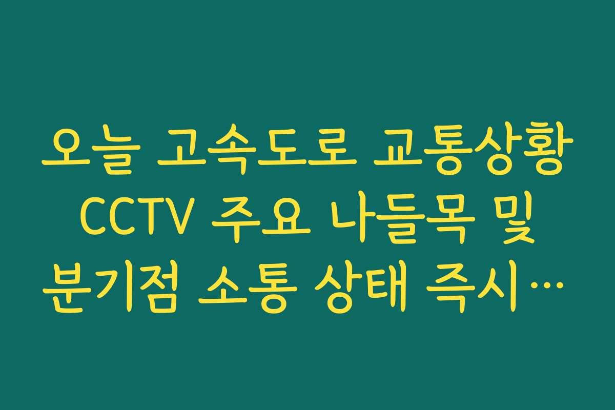 오늘 고속도로 교통상황 CCTV 주요 나들목 및 분기점 소통 상태 즉시 보기