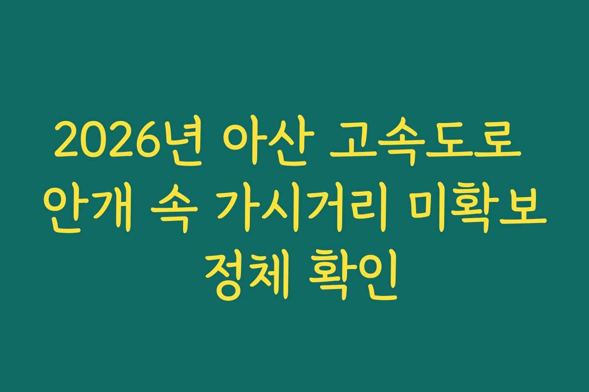 2026년 아산 고속도로 안개 속 가시거리 미확보 정체 확인 2026년 아산 고속도로 안개 속 가시거리 미확보 정체 확인