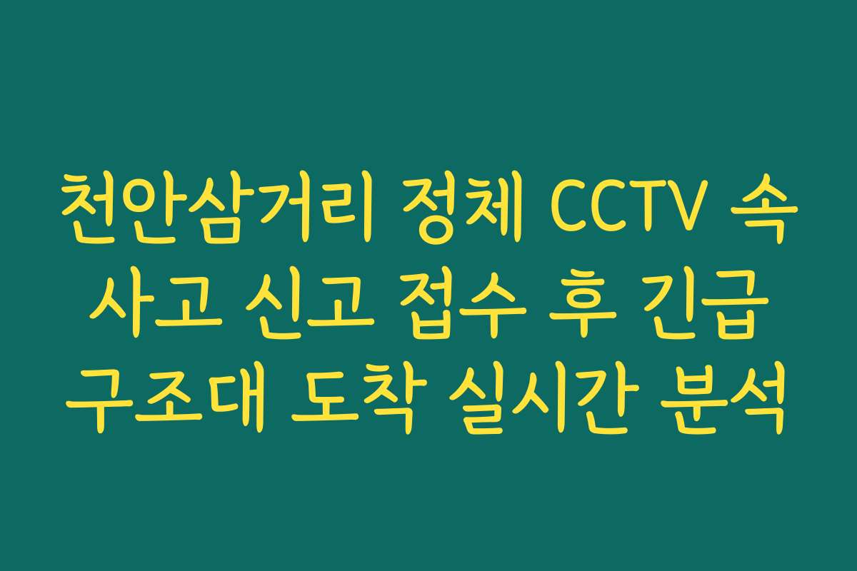 천안삼거리 정체 CCTV 속 사고 신고 접수 후 긴급 구조대 도착 실시간 분석