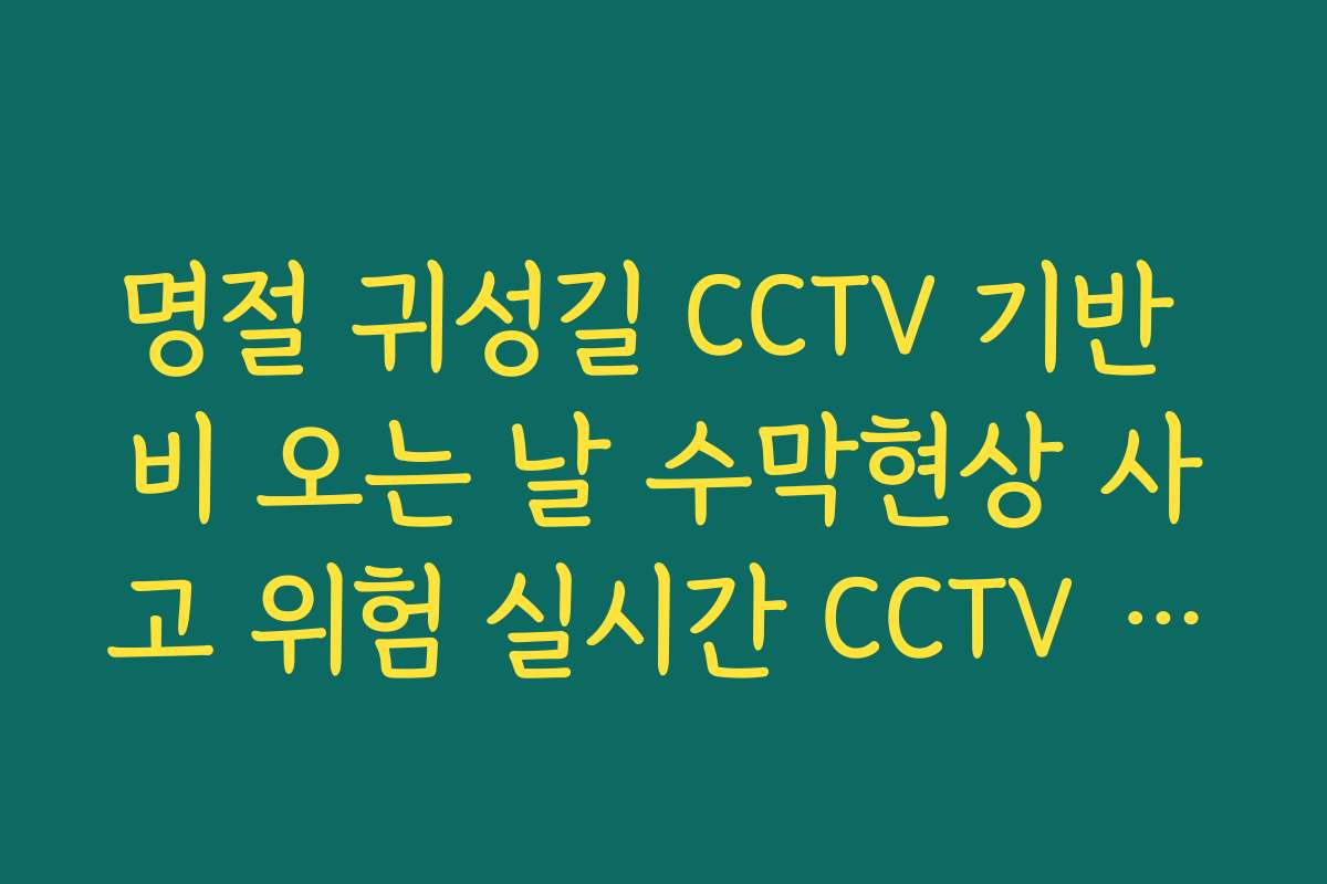명절 귀성길 CCTV 기반 비 오는 날 수막현상 사고 위험 실시간 CCTV 확인