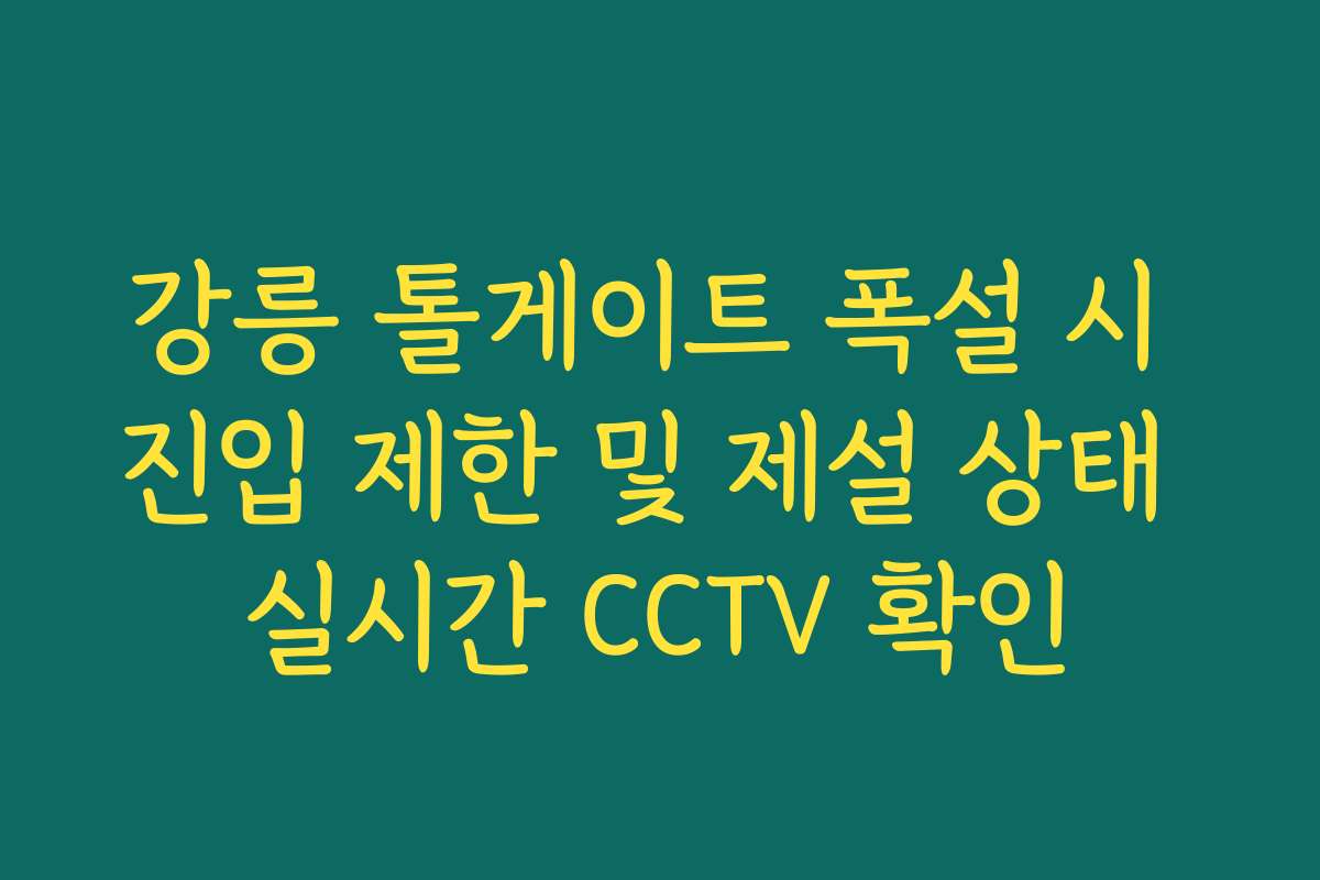 강릉 톨게이트 폭설 시 진입 제한 및 제설 상태 실시간 CCTV 확인 강릉 톨게이트 폭설 시 진입 제한 및 제설 상태 실시간 CCTV 확인