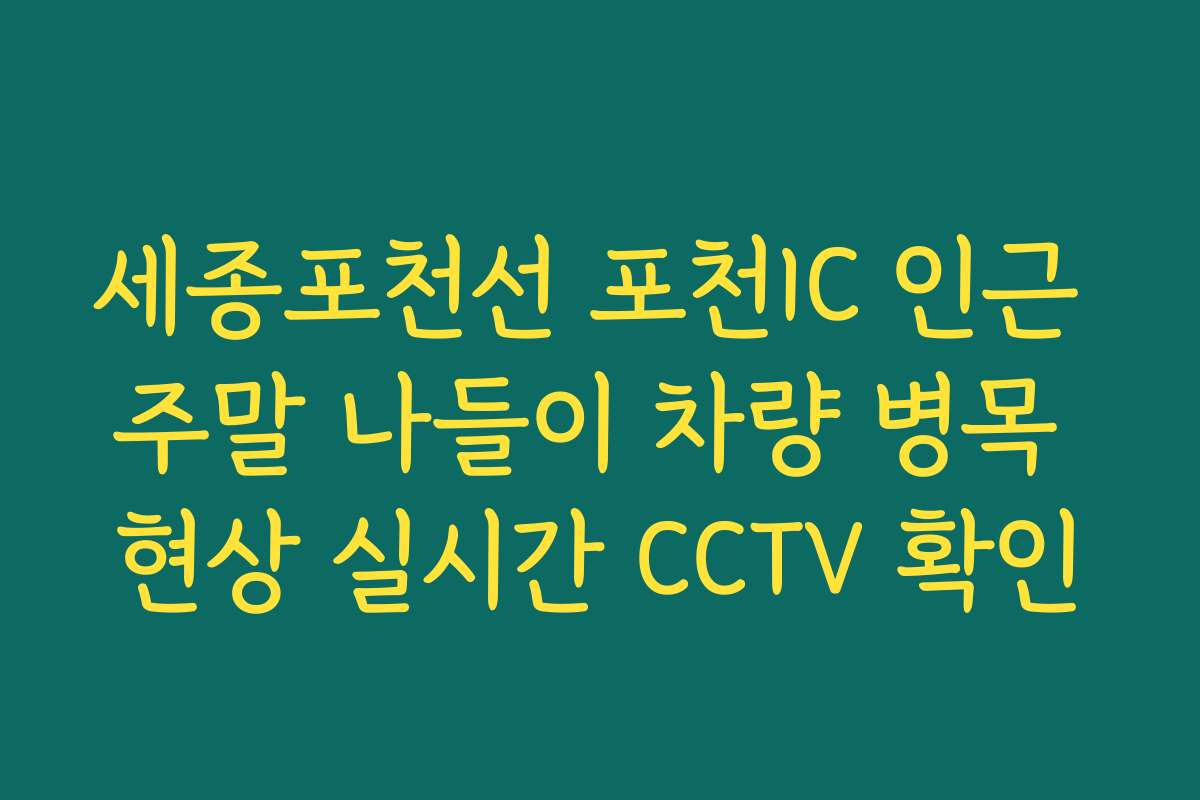 세종포천선 포천IC 인근 주말 나들이 차량 병목 현상 실시간 CCTV 확인