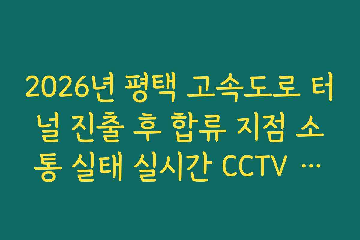 2026년 평택 고속도로 터널 진출 후 합류 지점 소통 실태 실시간 CCTV 확인