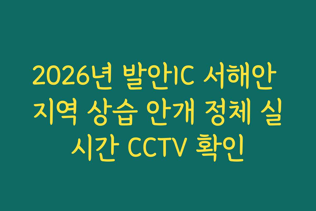 2026년 발안IC 서해안 지역 상습 안개 정체 실시간 CCTV 확인