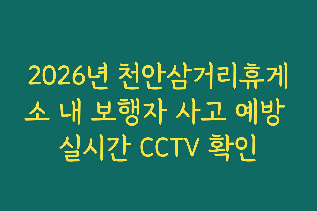 2026년 천안삼거리휴게소 내 보행자 사고 예방 실시간 CCTV 확인 2026년 천안삼거리휴게소 내 보행자 사고 예방 실시간 CCTV 확인