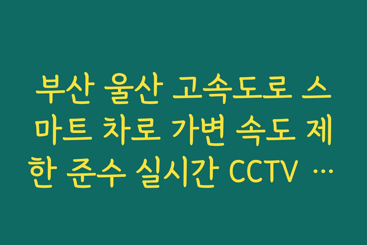 부산 울산 고속도로 스마트 차로 가변 속도 제한 준수 실시간 CCTV 확인