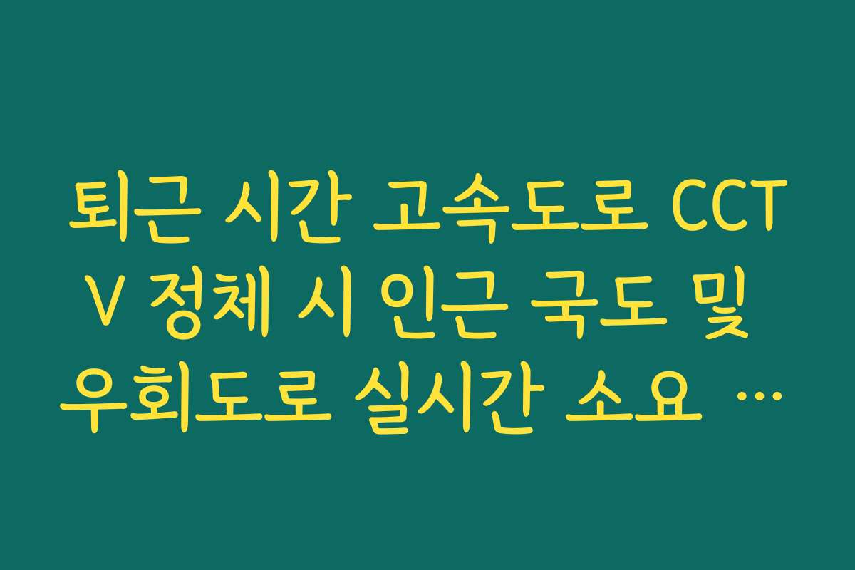 퇴근 시간 고속도로 CCTV 정체 시 인근 국도 및 우회도로 실시간 소요 시간 대조
