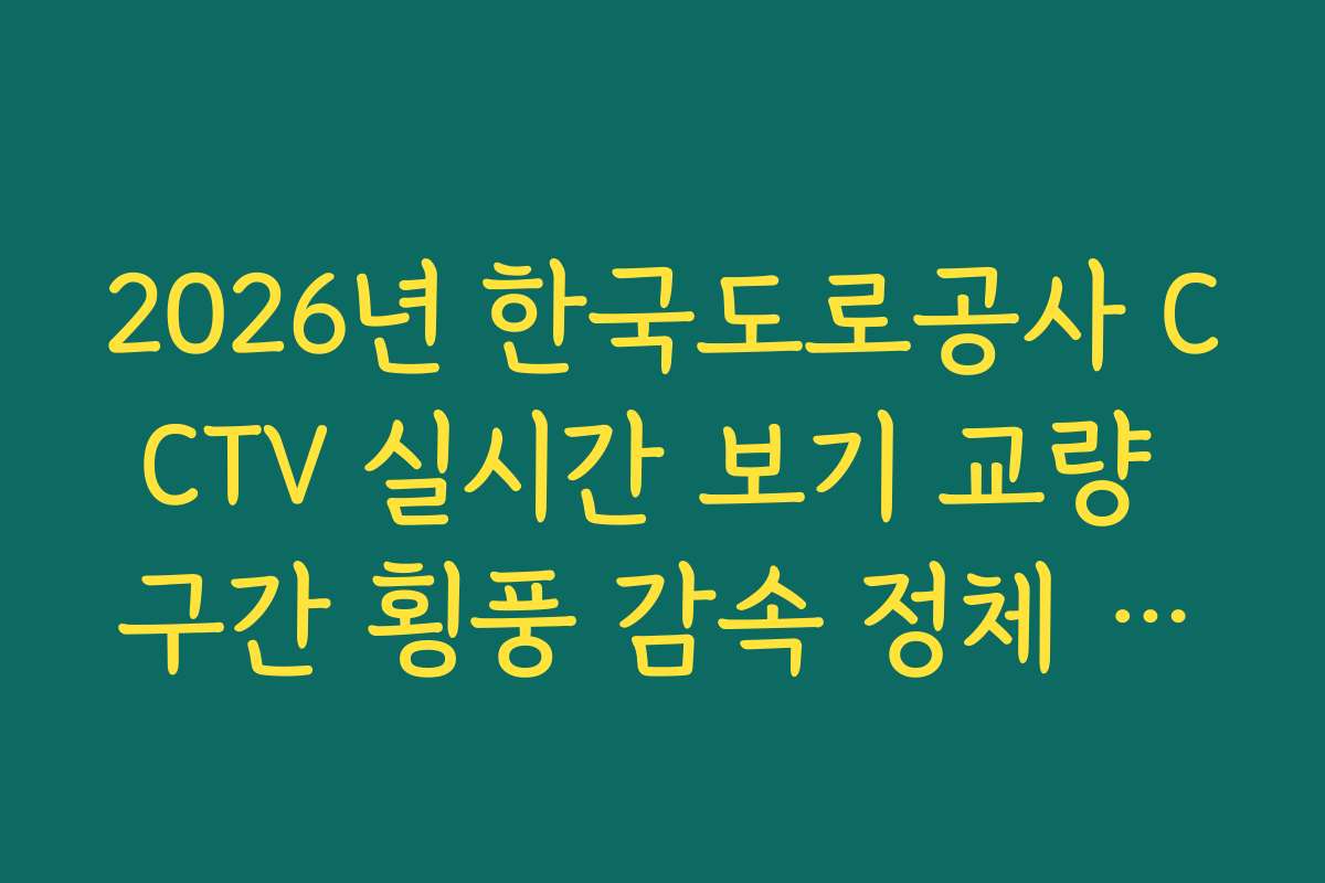 2026년 한국도로공사 CCTV 실시간 보기 교량 구간 횡풍 감속 정체 확인