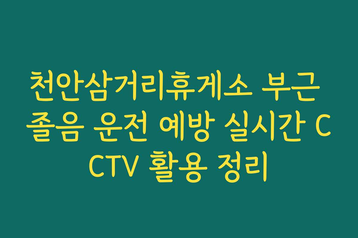 천안삼거리휴게소 부근 졸음 운전 예방 실시간 CCTV 활용 정리
