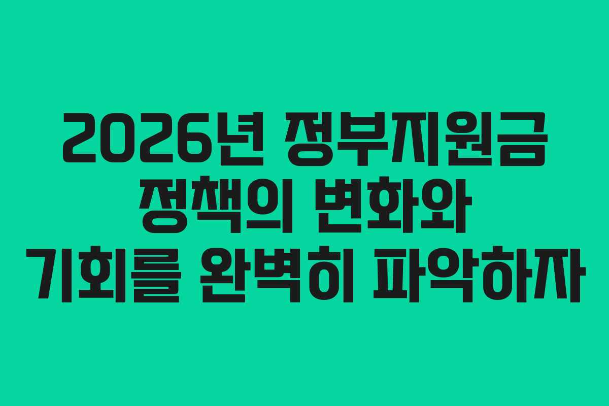 2026년 정부지원금 정책의 변화와 기회를 완벽히 파악하자