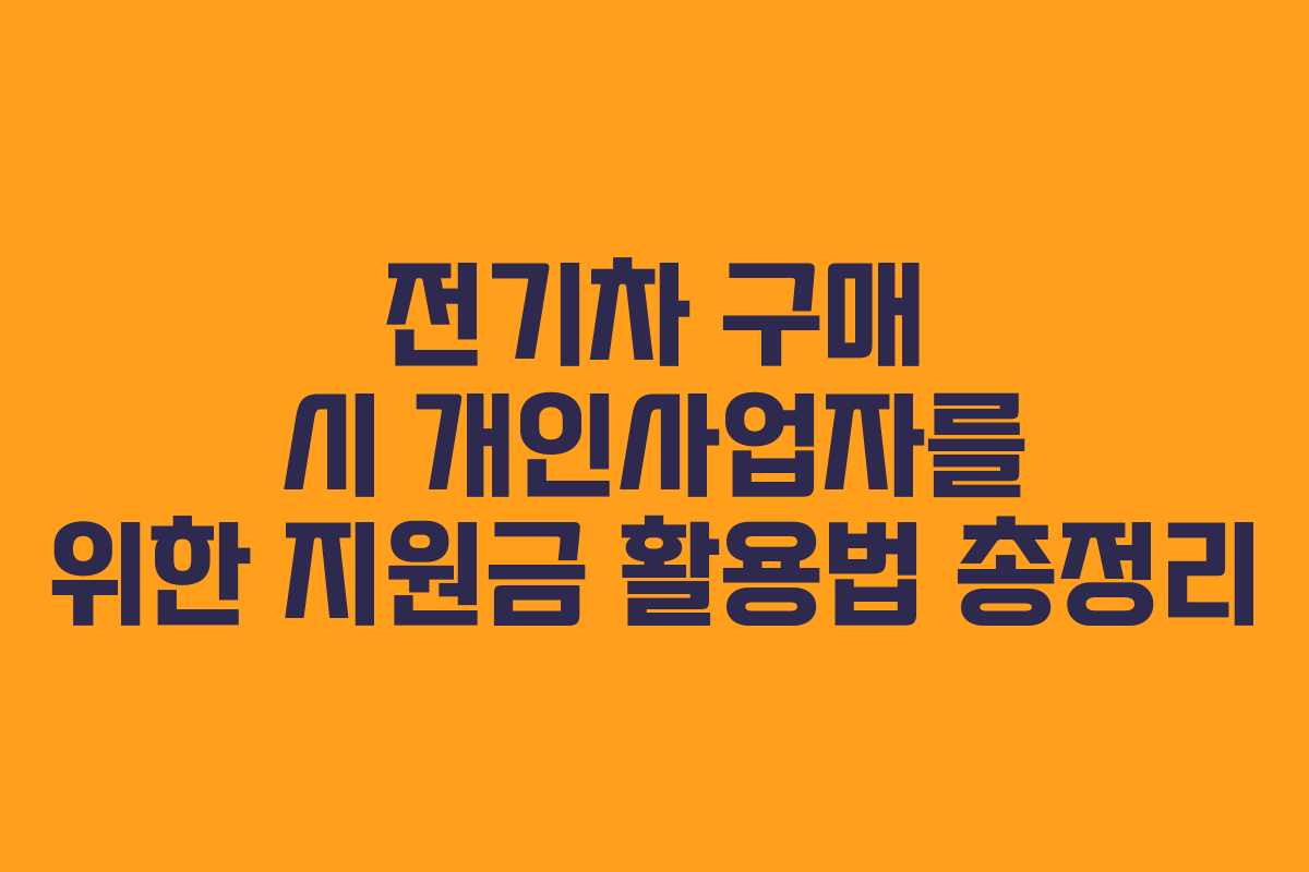 전기차 구매 시 개인사업자를 위한 지원금 활용법 총정리