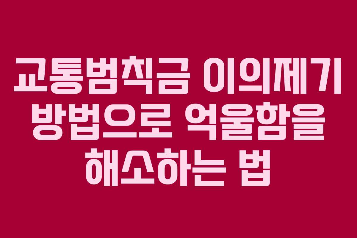 교통범칙금 이의제기 방법으로 억울함을 해소하는 법