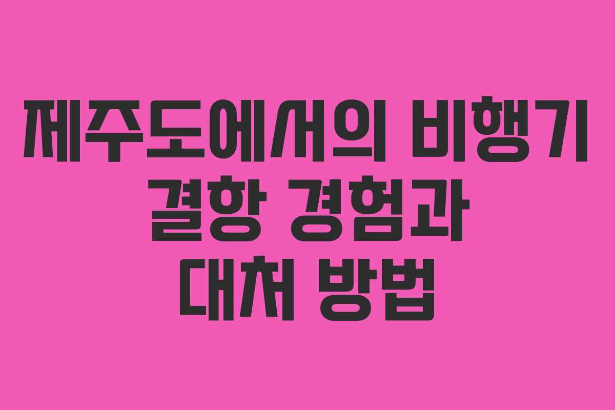 제주도에서의 비행기 결항 경험과 대처 방법