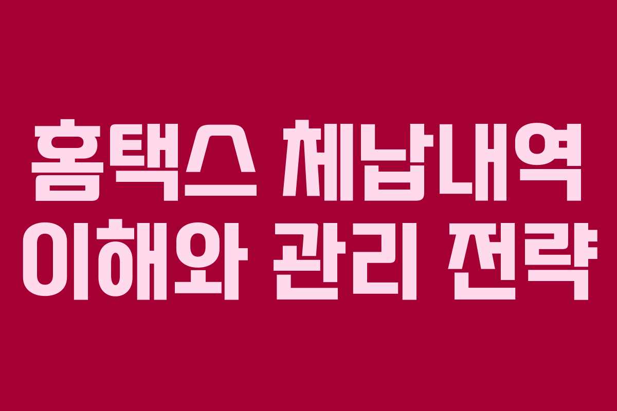 홈택스 체납내역 이해와 관리 전략