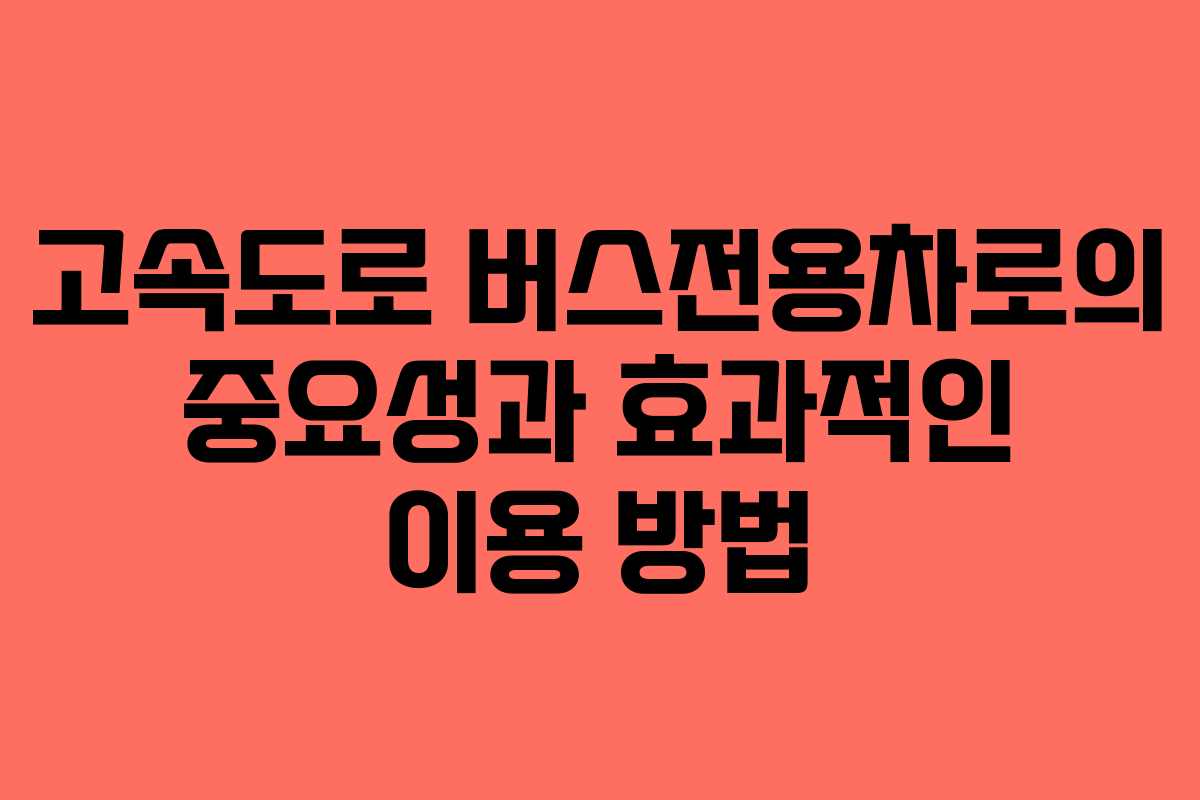 고속도로 버스전용차로의 중요성과 효과적인 이용 방법 고속도로 버스전용차로의 중요성과 효과적인 이용 방법