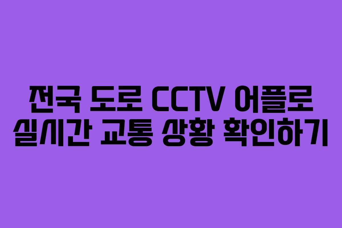 전국 도로 CCTV 어플로 실시간 교통 상황 확인하기 전국 도로 CCTV 어플로 실시간 교통 상황 확인하기