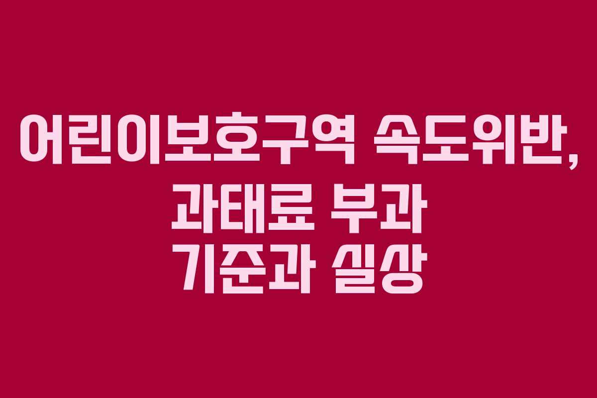 어린이보호구역 속도위반, 과태료 부과 기준과 실상
