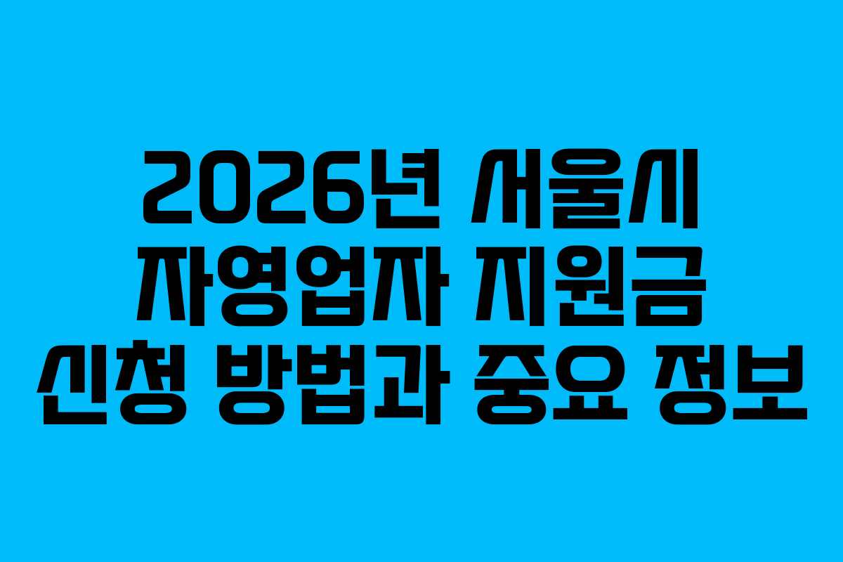 2026년 서울시 자영업자 지원금 신청 방법과 중요 정보
