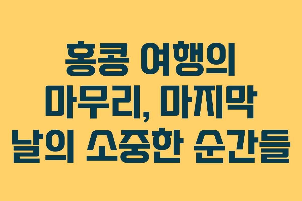 홍콩 여행의 마무리, 마지막 날의 소중한 순간들