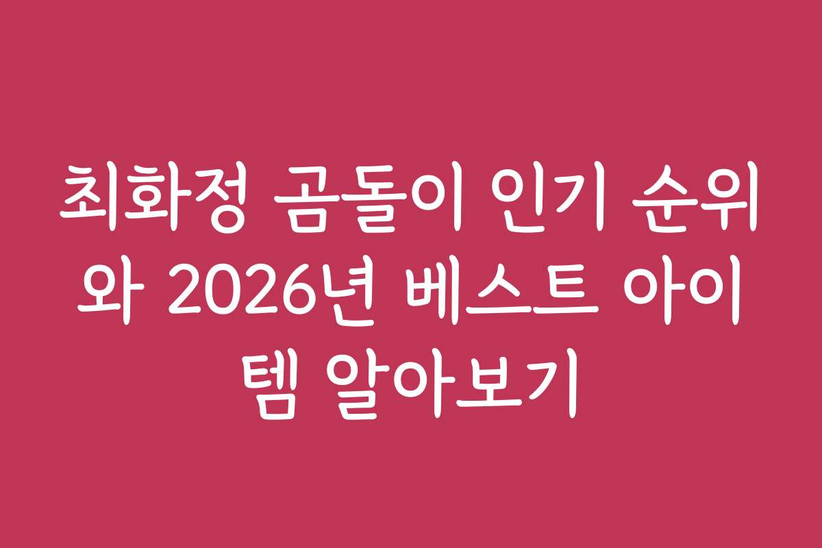최화정 곰돌이 인기 순위와 2026년 베스트 아이템 알아보기
