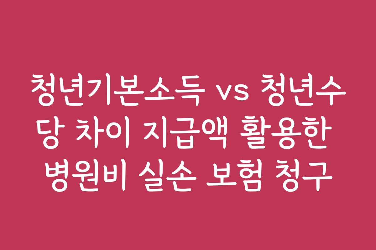 청년기본소득 vs 청년수당 차이 지급액 활용한 병원비 실손 보험 청구