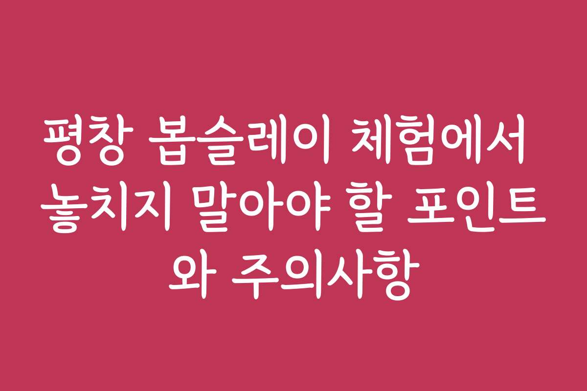 평창 봅슬레이 체험에서 놓치지 말아야 할 포인트와 주의사항