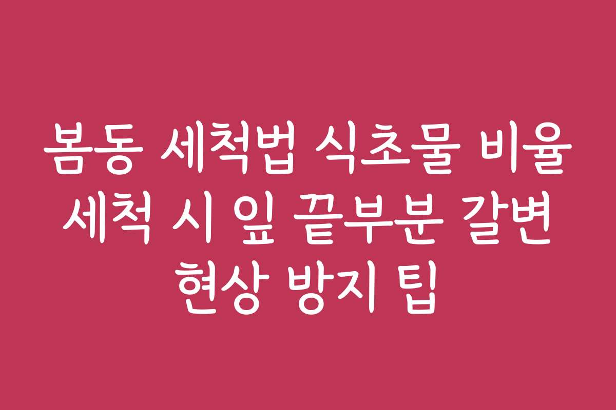 봄동 세척법 식초물 비율 세척 시 잎 끝부분 갈변 현상 방지 팁