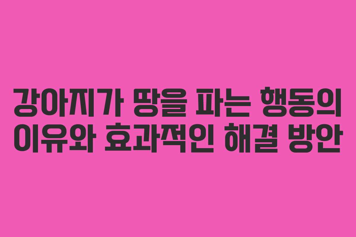 강아지가 땅을 파는 행동의 이유와 효과적인 해결 방안 강아지가 땅을 파는 행동의 이유와 효과적인 해결 방안