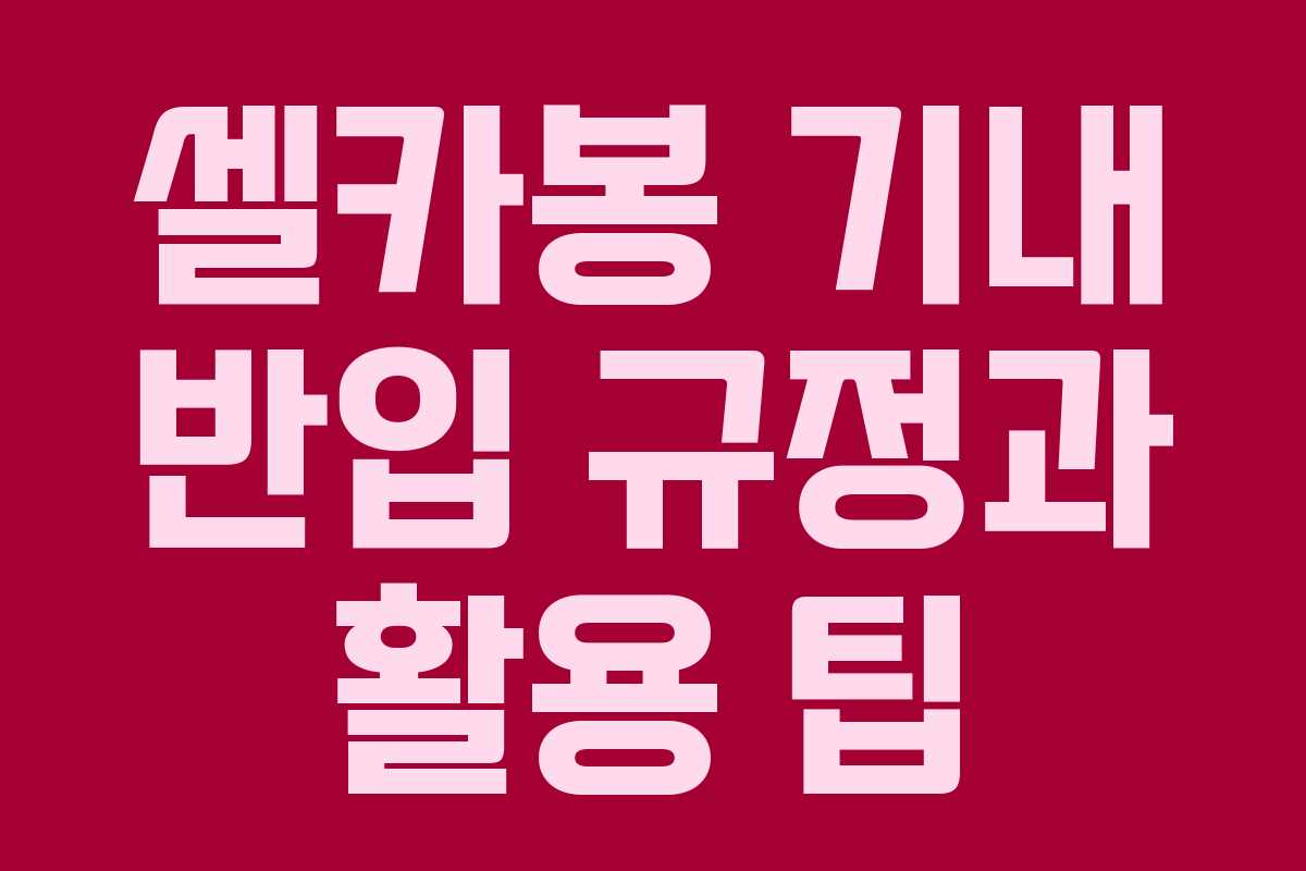 셀카봉 기내 반입 규정과 활용 팁 셀카봉 기내 반입 규정과 활용 팁