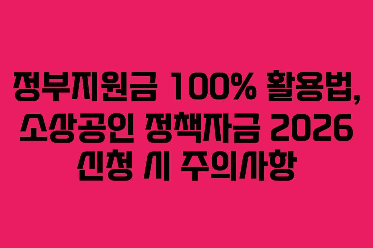 정부지원금 100% 활용법, 소상공인 정책자금 2026 신청 시 주의사항