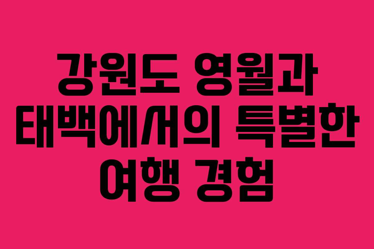강원도 영월과 태백에서의 특별한 여행 경험