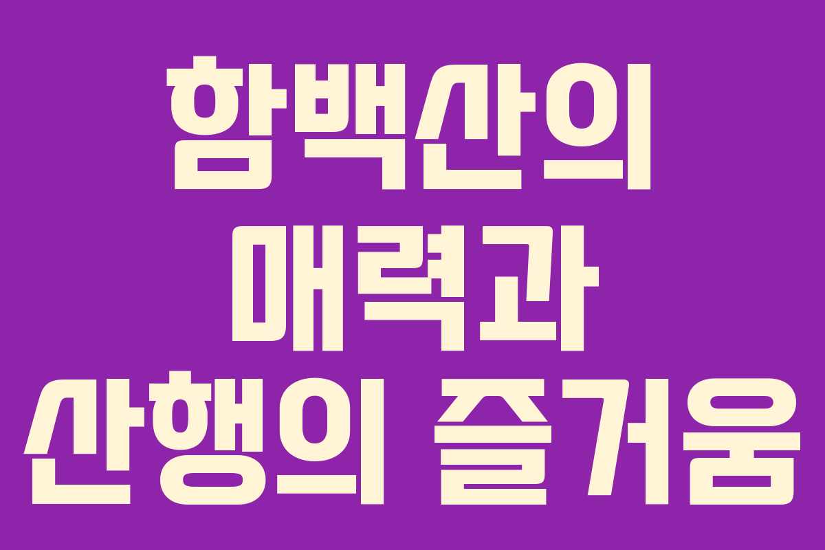 함백산의 매력과 산행의 즐거움