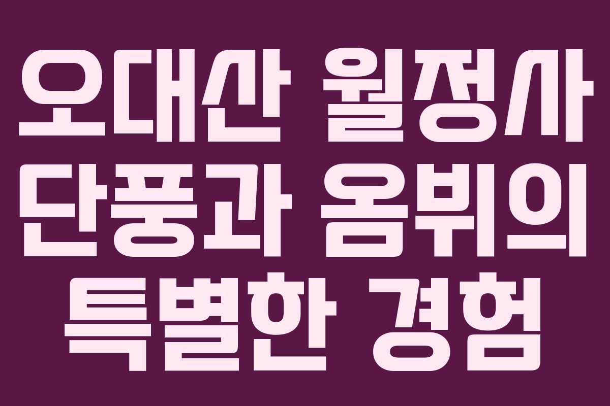 오대산 월정사 단풍과 옴뷔의 특별한 경험