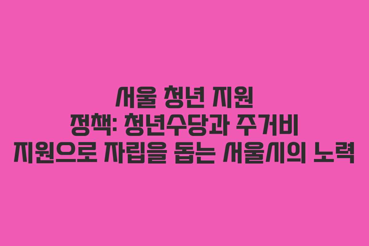 서울 청년 지원 정책: 청년수당과 주거비 지원으로 자립을 돕는 서울시의 노력
