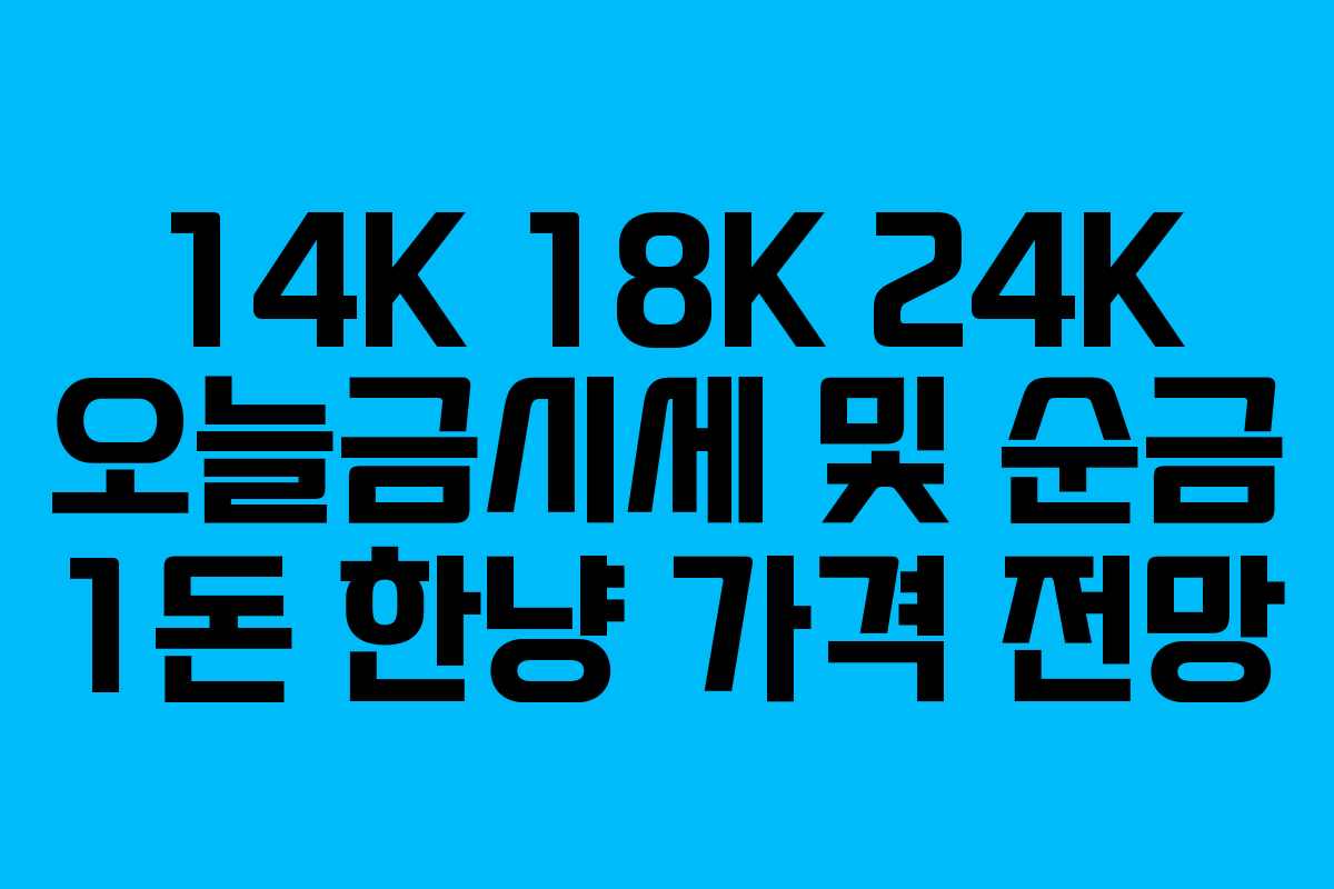 14K 18K 24K 오늘금시세 및 순금 1돈 한냥 가격 전망