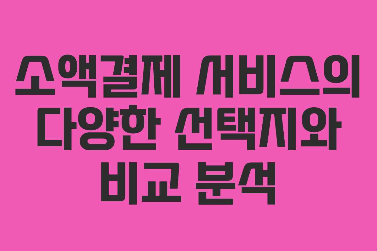 소액결제 서비스의 다양한 선택지와 비교 분석