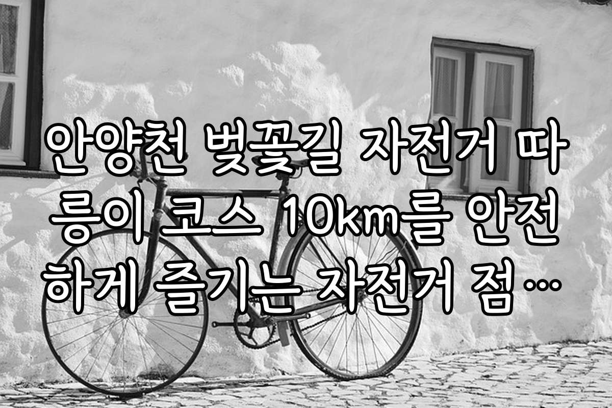 안양천 벚꽃길 자전거 따릉이 코스 10km를 안전하게 즐기는 자전거 점검과 유지 관리법