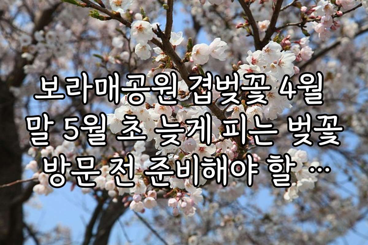 보라매공원 겹벚꽃 4월 말 5월 초 늦게 피는 벚꽃 방문 전 준비해야 할 필수 아이템과 체크리스트를 제시합니다