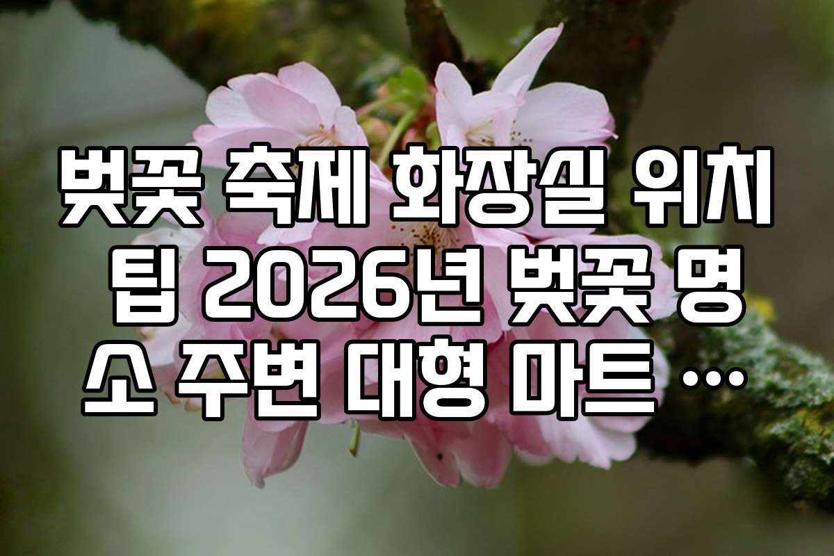벚꽃 축제 화장실 위치 팁 2026년 벚꽃 명소 주변 대형 마트 화장실 이용