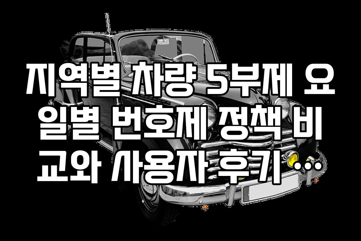 지역별 차량 5부제 요일별 번호제 정책 비교와 사용자 후기 모음