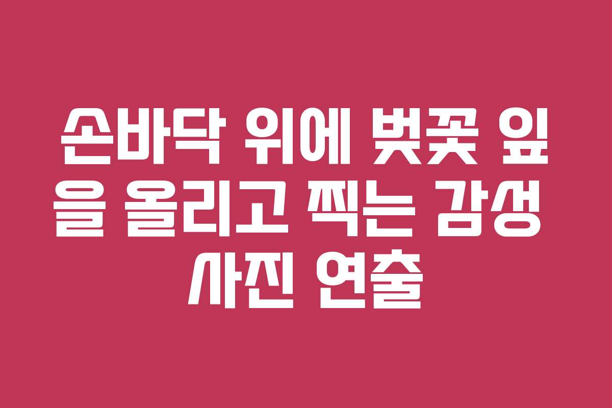 손바닥 위에 벚꽃 잎을 올리고 찍는 감성 사진 연출