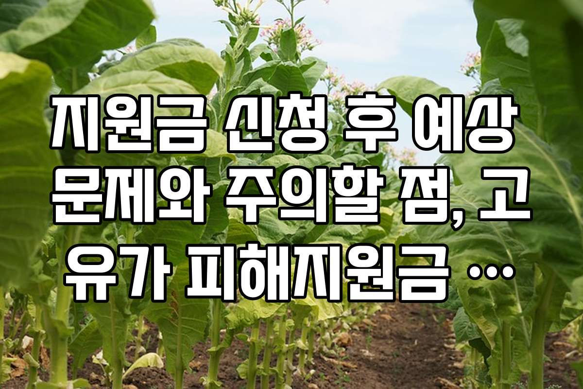 지원금 신청 후 예상 문제와 주의할 점, 고유가 피해지원금 건강보험료 기준